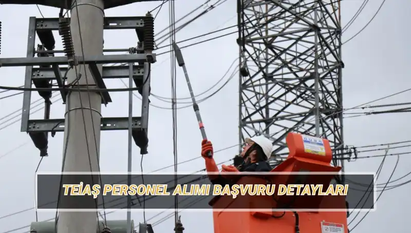 TEİAŞ Personel Alımı 2023: Başvuru Tarihleri ve Şartları Açıklandı!