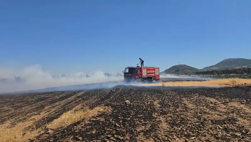 Gaziantep’te Korkutan Anız Yangını: Çiftçiler ve Doğa Tehlikede!