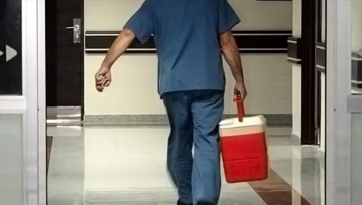 Organ Bağışında Devrim: e-Devlet ve e-Nabız ile Kolay Başvuru Dönemi