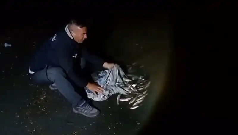 Gölde Bir Ton İnci Kefali Yakalandı: Avcılar Hayrete Düşürdü