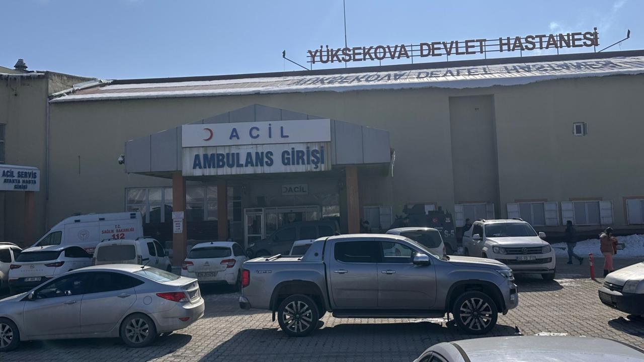 Müfettiş, başıboş köpeklerin saldırısıyla ölen çocuk olayını araştıracak.