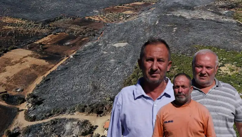 Çeşme Yangını: Evler Yok Oldu, Hayatlar Değişti