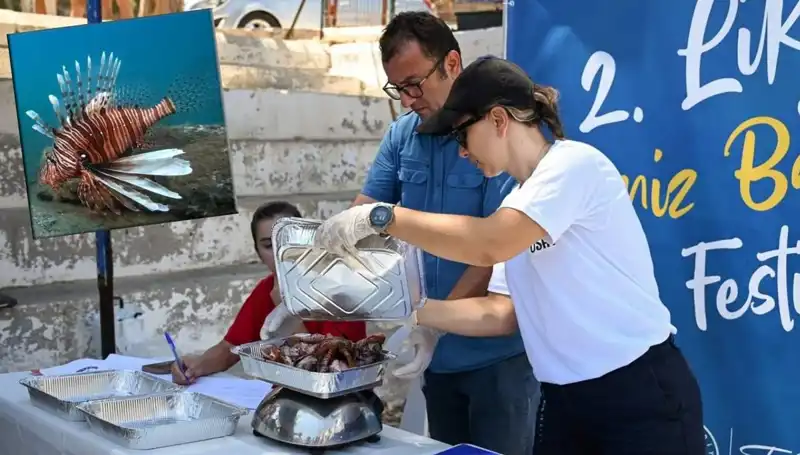 Antalya'da İstilacı Aslan Balığı Avlama Yarışması Heyecanı Başladı!