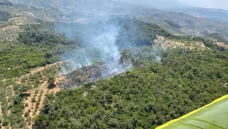 Aydın’da Korkutan Orman Yangını: Sönmeyen Alevler ve Ekiplerin Zorlu Mücadelesi