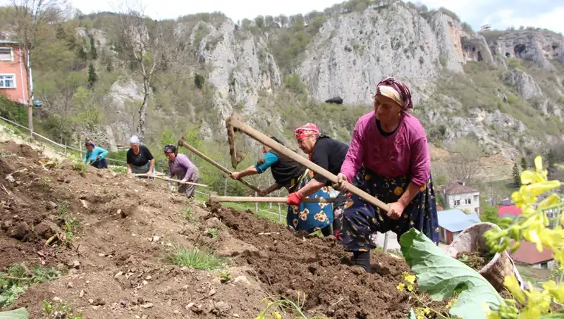 Zorlu Mesai Başladı: Sepetler ve Kazmalarla Yeni Bir Serüvene Hazır Müzik Şehri
