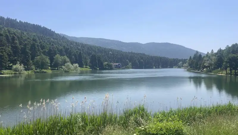 Bolu’nun Doğal Güzellikleri: Milli Parklar Ziyaretçi Akınına Uğruyor