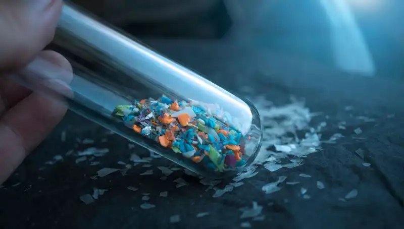 Mikroplastikler Beynimizde: İnsan Sağlığına Etkileri Şaşırtıcı!