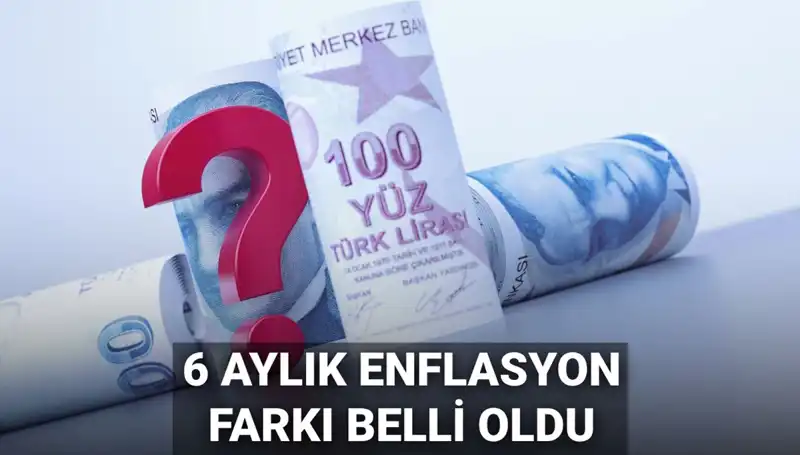 2025 Yılına Nasıl Bir Enflasyon Farkı ile Gireceğiz? Memur ve Emekli Maaşları Ne Olacak?