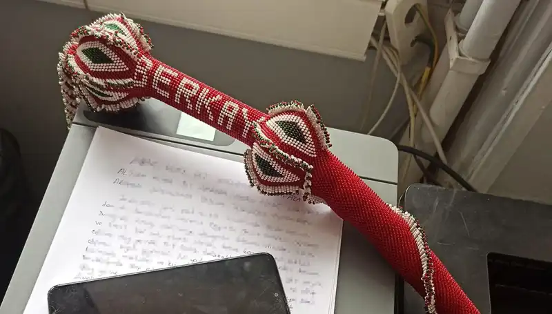 Kırbaçlı Saldırganlardan Kaçış: Ölümü Göze Alanların Hikayesi