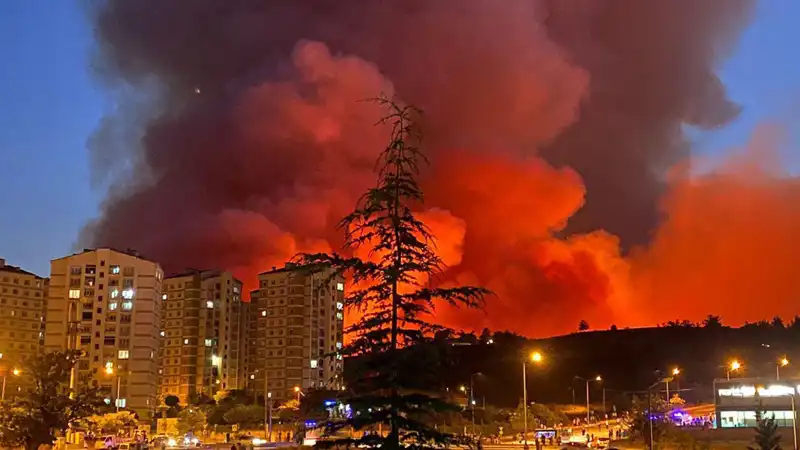 Bursa'da Yangınlar Kenti Korkutuyor: Son Durum ve Olası Önlemler