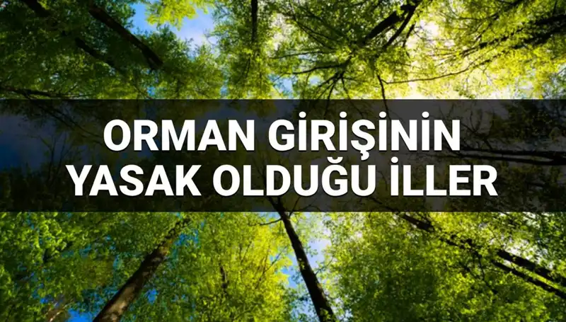 2025'te Ormana Girişi Yasaklanan İller: İşte Detaylar!