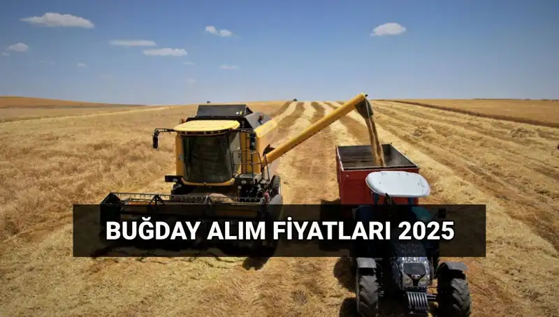 Hububat Alım Ücretleri Ne Zaman Yatacak? 2025 Fiyatları Dikkat Çekiyor!