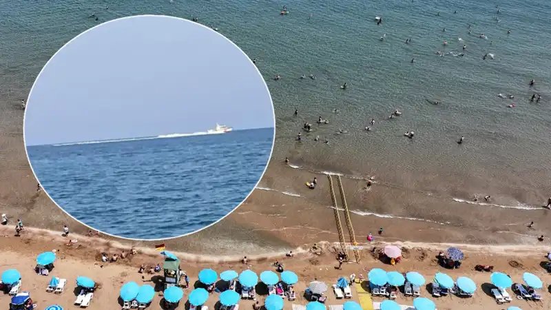 Plajda Köpek Balığı Korkusu: Gerçek Panic, Güvenlik Güçlerini Harekete Geçirdi