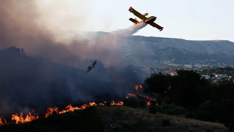 Sakız Adası'ndaki Orman Yangınları Kontrol Altına Alındı, Hayvanlar ve Bitkiler Kurtarıldı