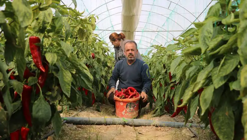 Yüzde 50 Zam: 50 TL'lik Ürün 80 TL'den Satılıyor!