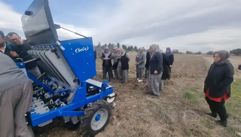 Domaniç'te Yerel Ata Tohumu Sarımsak için Yenilikçi Hamleler Başlatıldı