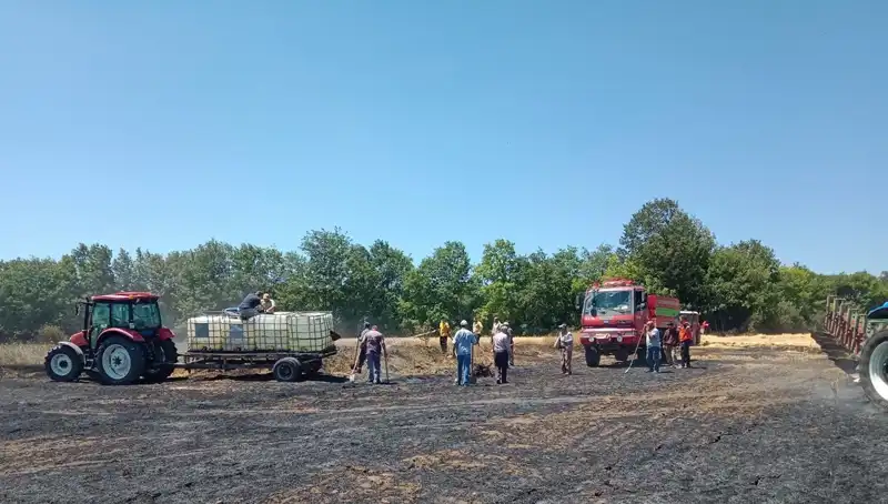 Buğday Tarlasında Çıkan Yangın, 10 Dönüm Zarar Verdi: Yangının Nedeni Ne?