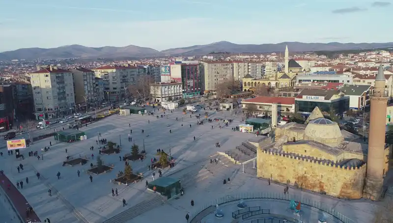 Kırşehir’de Keşfedilen Yeni Böcek Türü Bilim Dünyasını Sarstı!