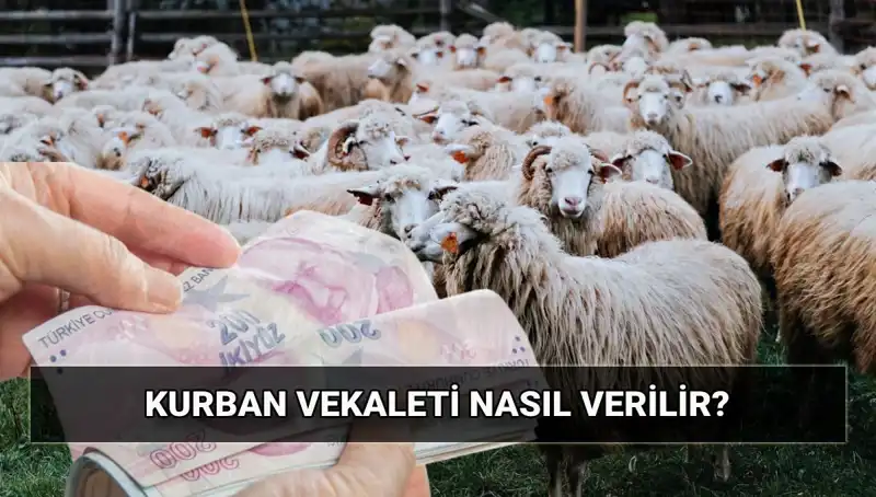 Vekaletle Kurban Kesilir Mi? Diyanet'ten 2025 Ücretleri Açıklandı!