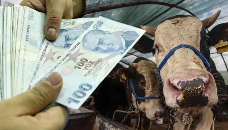 Emekli ve Memurlara Bayram Öncesi Maaş Müjdesi Geldi!