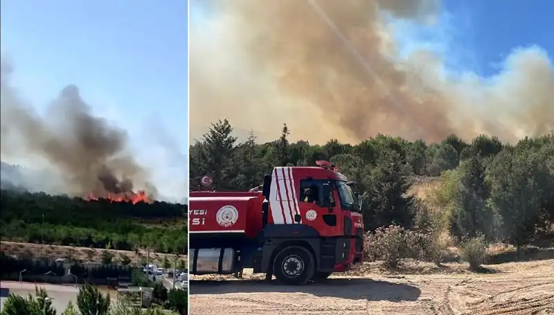 Gebze'de Orman Yangını Korkuttu: Ekipler Mücadeleye Devam Ediyor