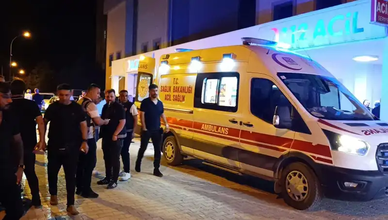 Kardeş Kavgasında Hayatını Kaybeden Genç: Olayın Ardındaki Gerçekler