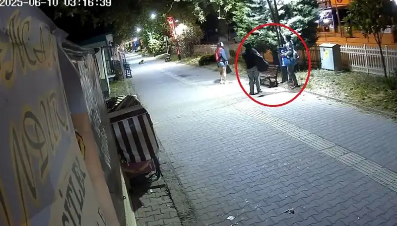 Aydınlatma Direklerindeki LED Işıkları Sökerek 300 Bin TL Zarar Verdi