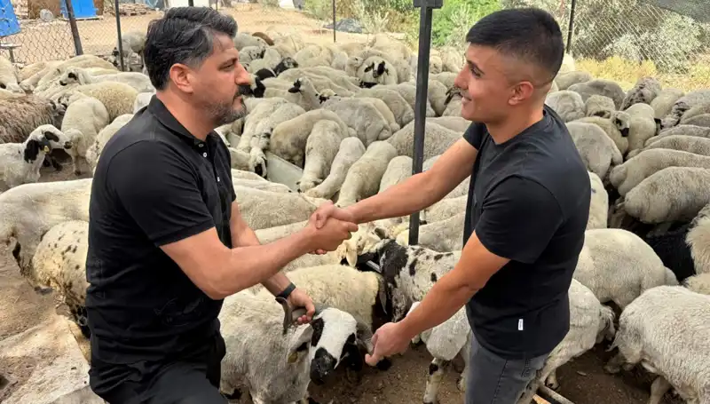 Kurbanlık Koyun Alırken Dikkat! Tuz ve Sumak Hilelerine Karşı Önlem Alın