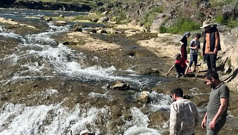 İnci Kefali Göçü: Doğa Harikası Turistleri Büyüledi
