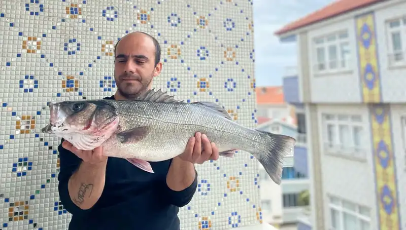 7,5 Kiloluk Dev Levrek: Balıkçıların Gözdesi Oldu