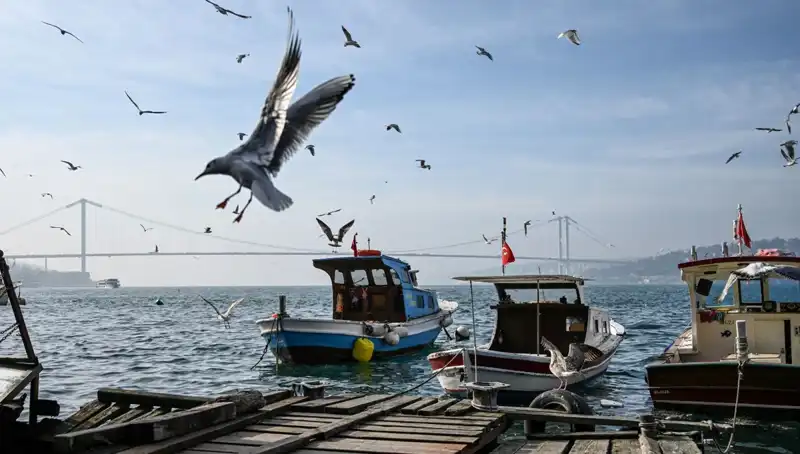 İstanbul'da Bahar Havası Müjdesi: Günler Kısa Sürede Isınacak!