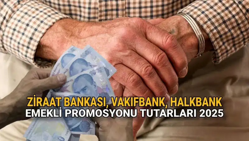 2025 Emekli Maaşı Promosyonları: Kamu Bankalarında Son Durum Ne?