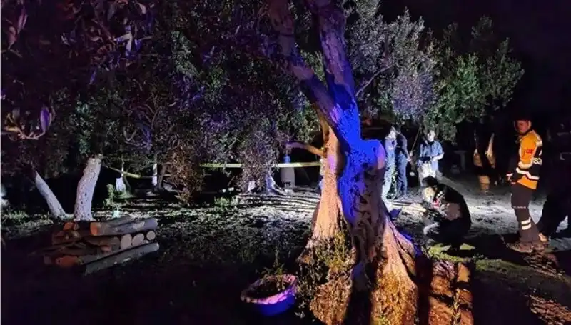 Çiftlikte Baltalı Vahşet: Olayın Şüphelisi Gözaltına Alındı