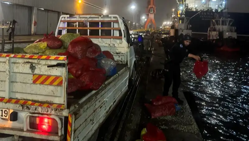 Kaçak Midye Operasyonu: Güvenlik Güçleri Zamanla Yarıştı