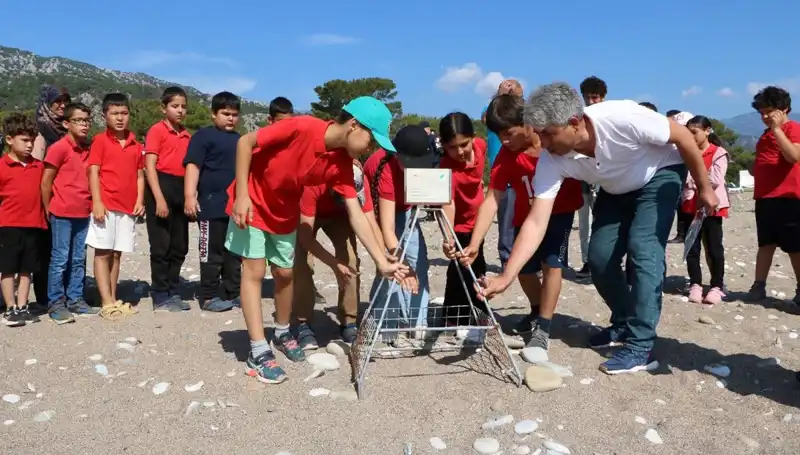Kemer'de Caretta Caretta Koruma Yasakları Başladı: Deniz Tesisleri Üzerinde Etkisi