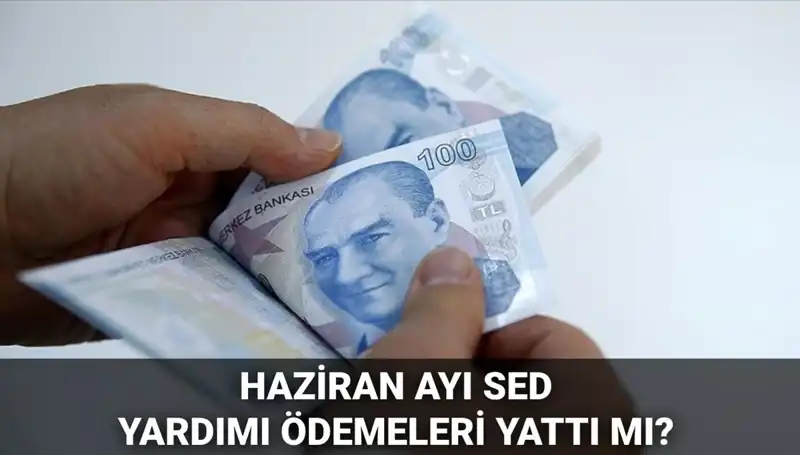 2025 Haziran SED Ödemeleri Sorgulama Rehberi: Yattı mı, Ne Zaman Yatacak?