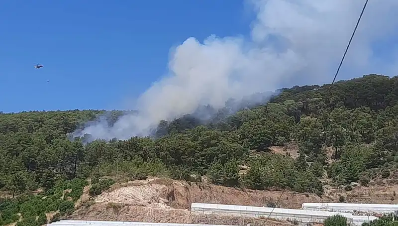Kumluca'da Çıkan Orman Yangını Büyük Panik Yarattı