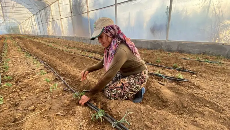 Fideler Toprakla Buluştu: Tarımda Yeni Dönem Başlıyor