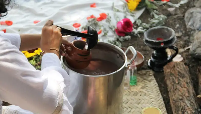 Ayahuasca: Gizemli Şifalı İçecek ve Yasal Durumu Hakkında Bilmeniz Gerekenler