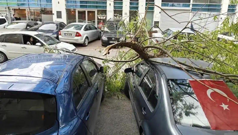 Kayseri'de Fırtına Caddeleri Sarmaladı: Dallar ve Hayat Uçuşa Geçti