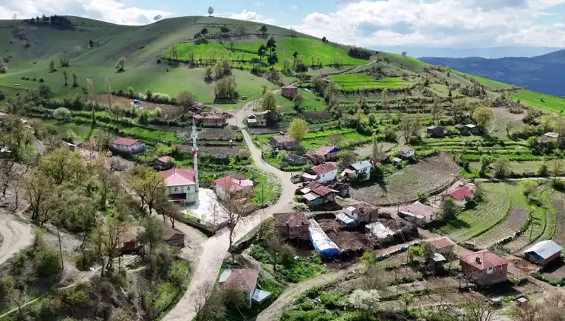 Türkiye'deki Bir Mahallede Doğuştan Sağır ve Dilsiz Yeni Doğan Çocukların Yüzde Yetmişi