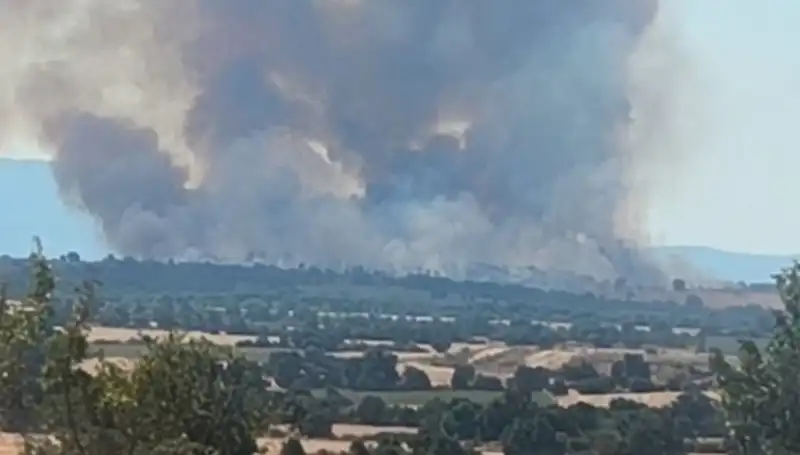 Komşu Ülkedeki Orman Yangını Edirne'yi Koca Dumanla Sarıp Sarmaladı
