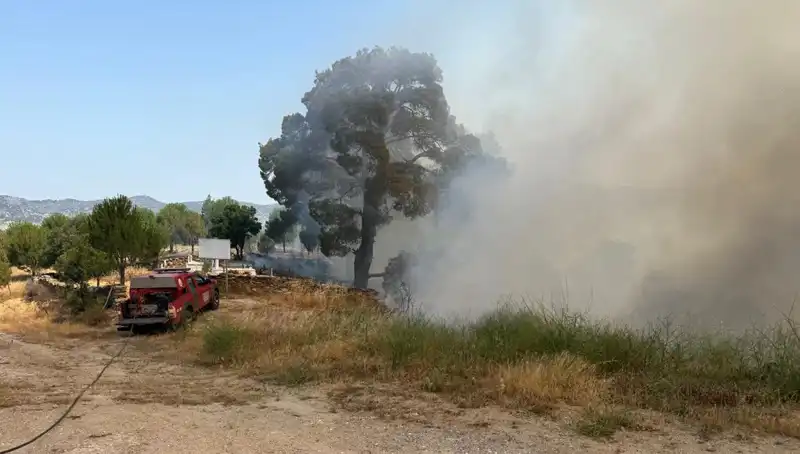 Muğla’da Eşsiz Doğayı Tehdit Eden Orman Yangını: Son Durum ve Önlemler