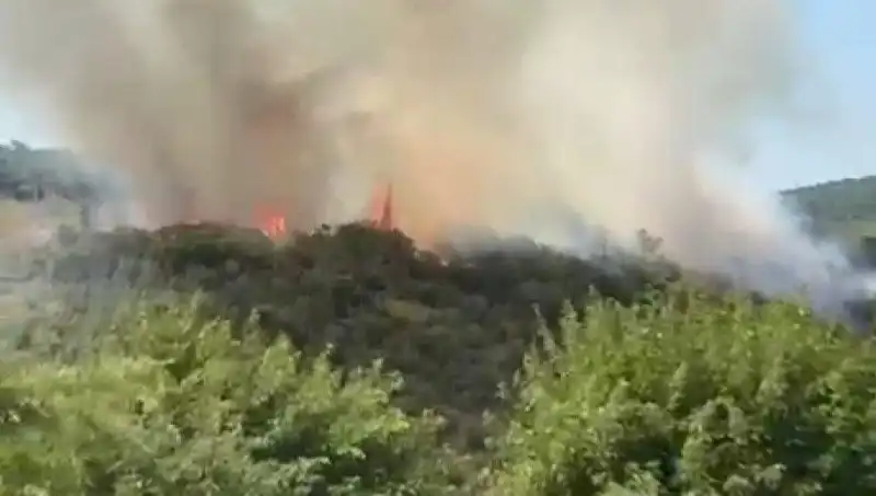 İstanbul'da Orman Yangını: Vatandaşlar Tahliye Edildi, Alevler Kenti Tehdit Ediyor