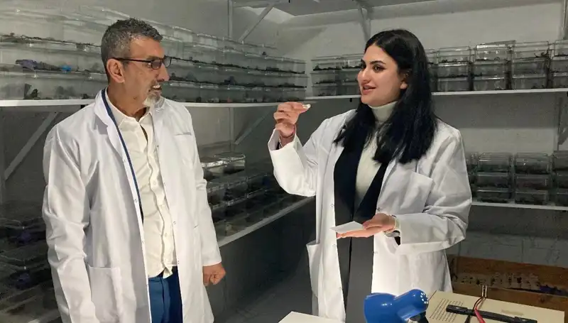 Akrep Zehri ile Şeker: Gizemli İkiliğin Sırrı Nedir?