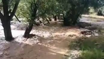 Mersin'de Yağış Alarmı: Sel Felaketi Sokakları Vurdu, Hayat Durma Noktasında!