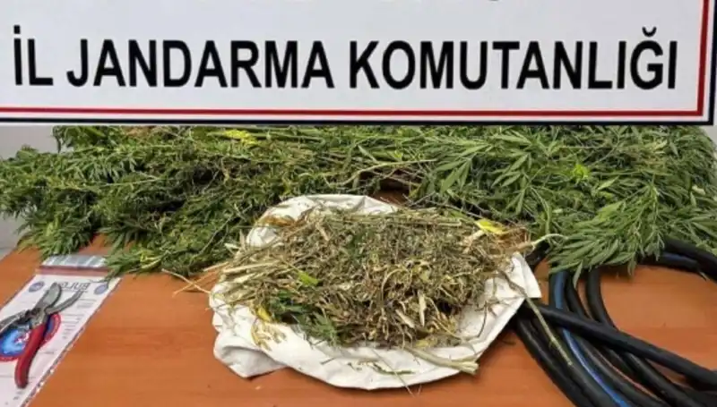 Niğde'de Yüzlerce Kilo Uyuşturucu Ele Geçirildi: Operasyon Gözleri Kamaştırdı