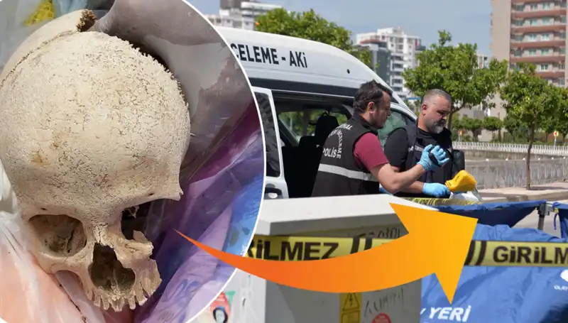 Kafatasının Sırrı: Uzman Doktor Gözaltında! Olayın Perde Arkası