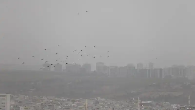 Şanlıurfa'da Toz Bulutları Hayatı Olumsuz Etkiliyor: Görüş Mesafesi 10 Metreye Düştü