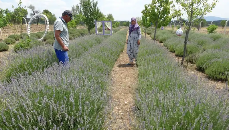Hobi Olarak Başladılar, Şimdi Tam Zamanlı Geçim Kaynağı Oldular